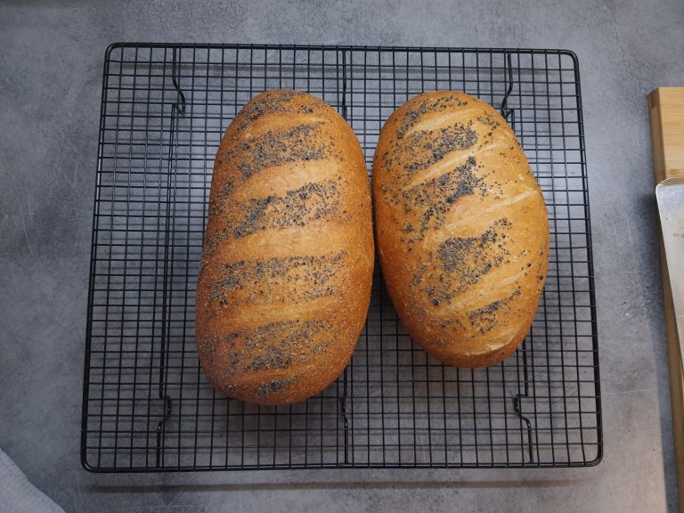 Brauð og Cricut verkefni