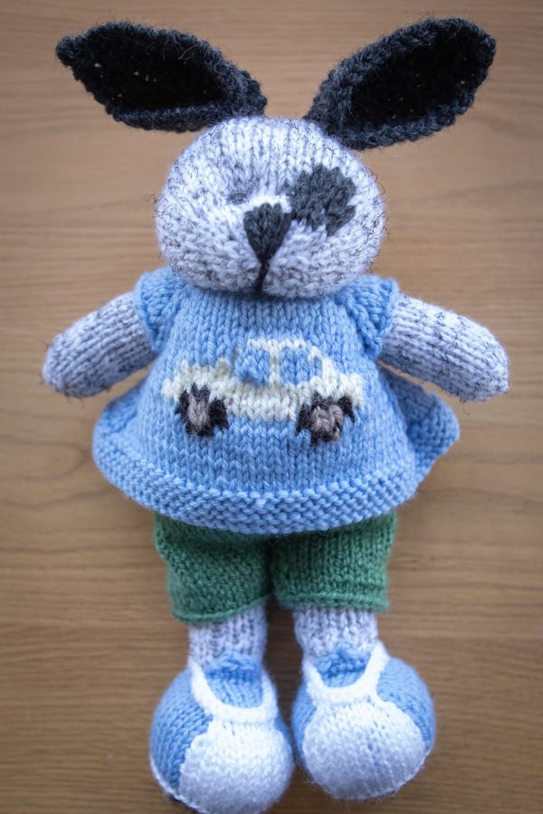 Kanína í bílapeysu