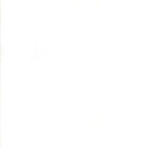 Grunge - White Paper