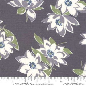 At Home Canvas bak 58"