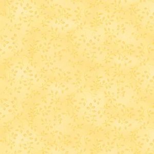 Folio Basics
