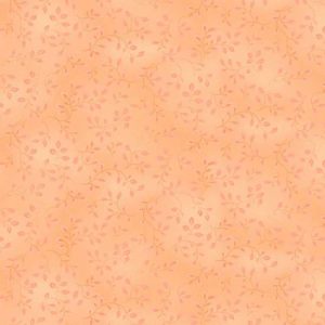 Folio Basics