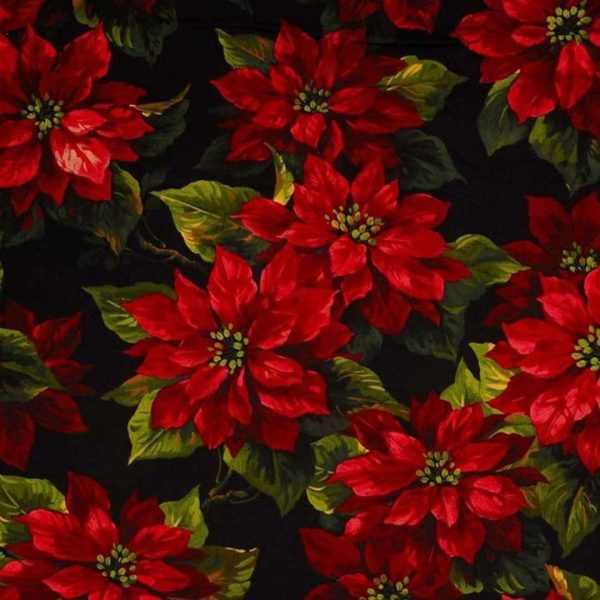 Scarlett Poinsettia bak - Jólastjarna 108"