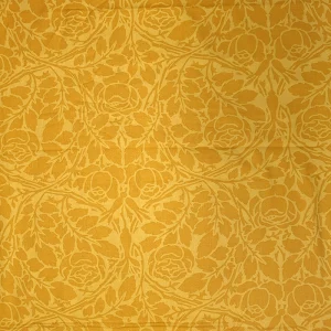 Yellow Roses