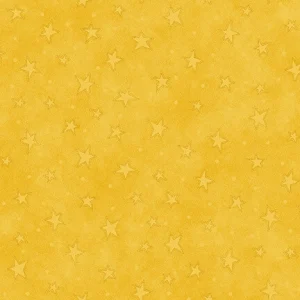 Starry Basics