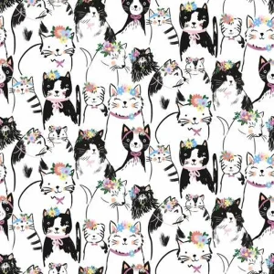 Cat - Kisur