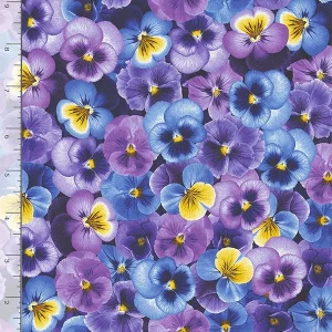 Pansy - Stjúpur