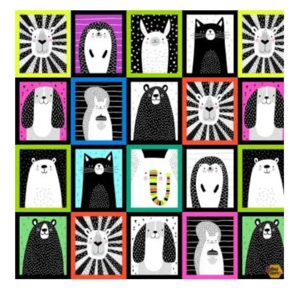 Black and White with a Touch of Color