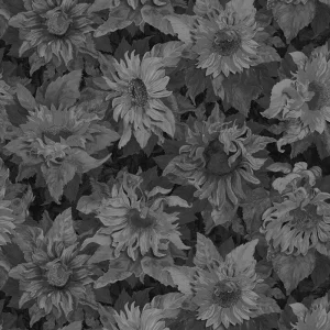 Flowers of the Sun